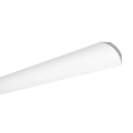NE2 PURE NOMASTYL® Deckenleiste